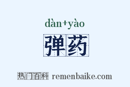 弹药是什么意思的图片